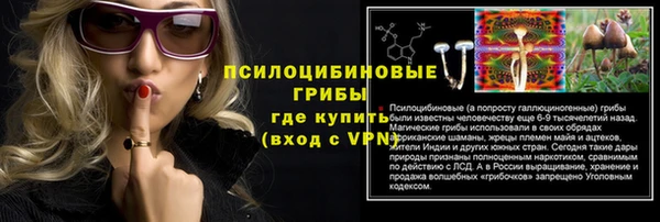 стаф Бугульма