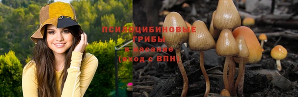 гидра Богородск