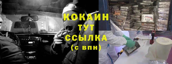 хмурый Бородино