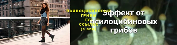 бутик Богданович