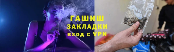 гидра Богородск