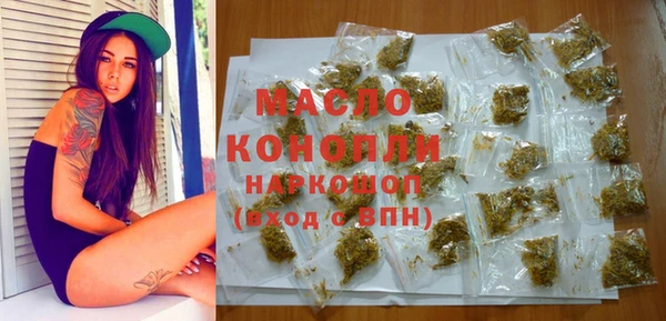 гидра Богородск