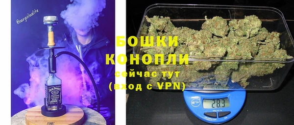 гидра Богородск