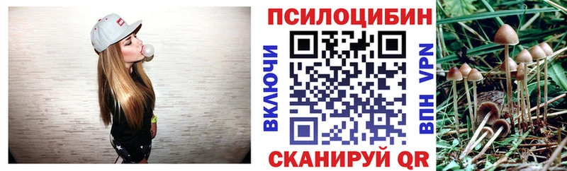 купить наркоту  Бутурлиновка  Псилоцибиновые грибы Cubensis 